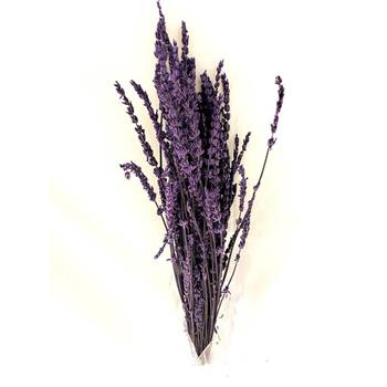 گل خشک lavender