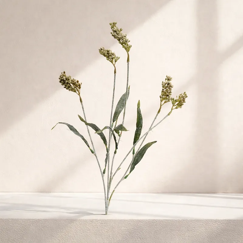 گل مخملی Azara