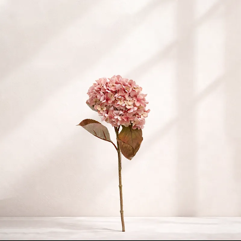 شاخه گل اورتانزیا Hydrangea