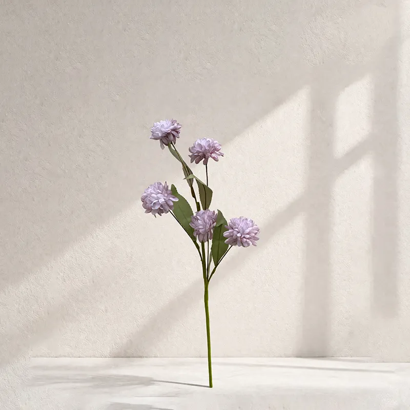 ساقه گل Lavender