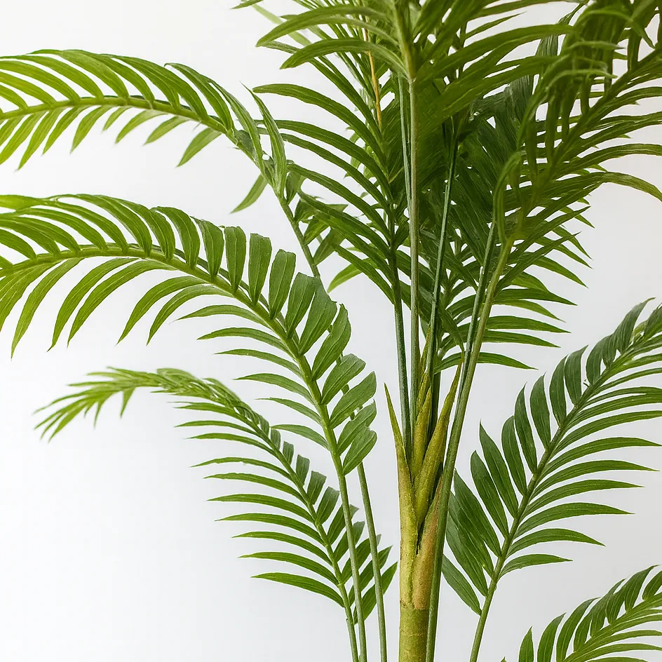 درخت نخل دکوراتیو