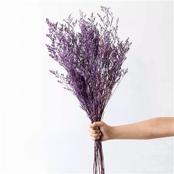 گل خشک Limonium - بنفش