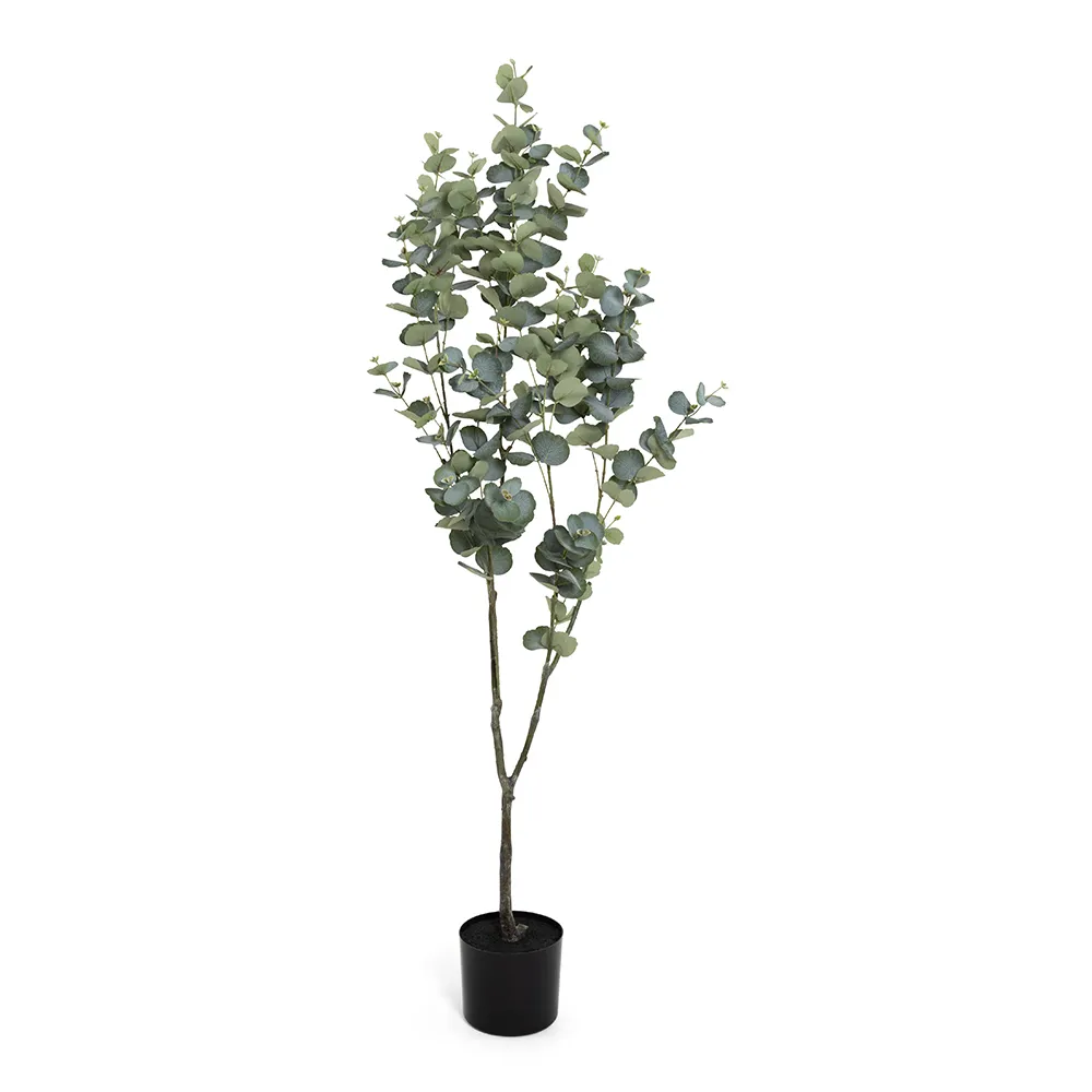 درخت اکالیپتوس مصنوعی Everly