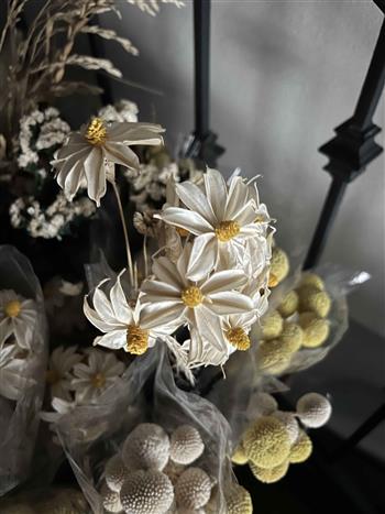 گل خشک jasmine