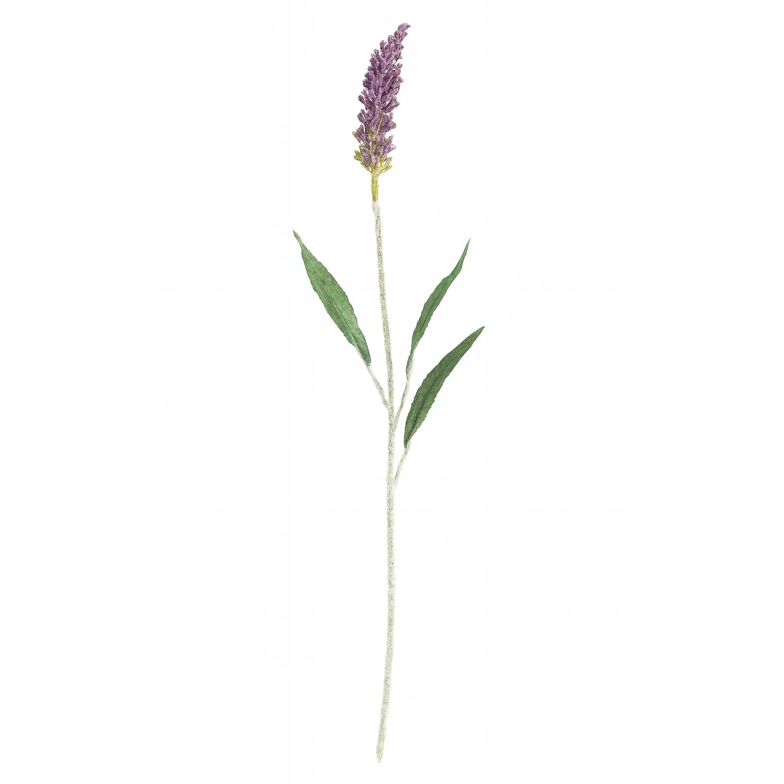 شاخه گل تزیینی Lavender Spike