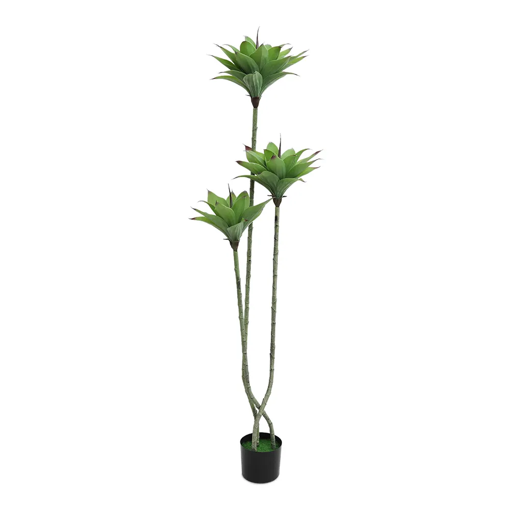 گیاه مصنوعی Maris